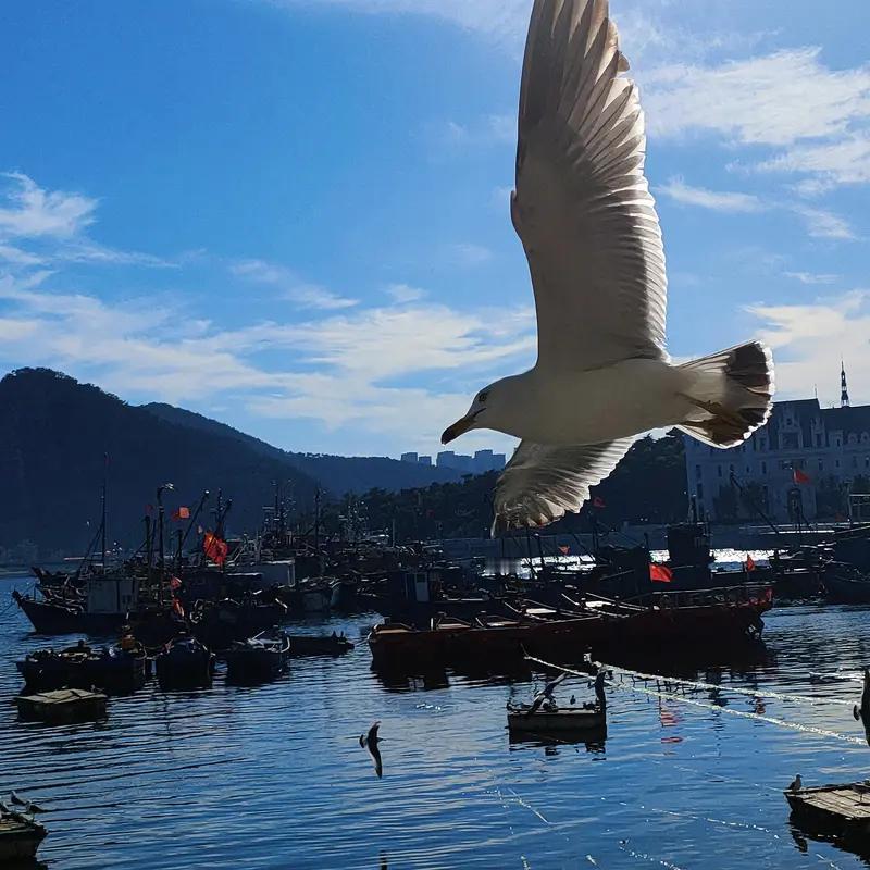 “海阔凭鱼跃”这上联太妙啦，有种任鱼在广阔大海自由闯荡的感觉。它经典的下联是“天