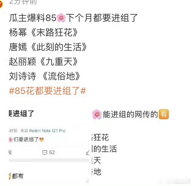 85🌸们下个月都要进组了，今年杨幂大获全胜，下个阶段会是赵丽颖还是刘诗诗吗？