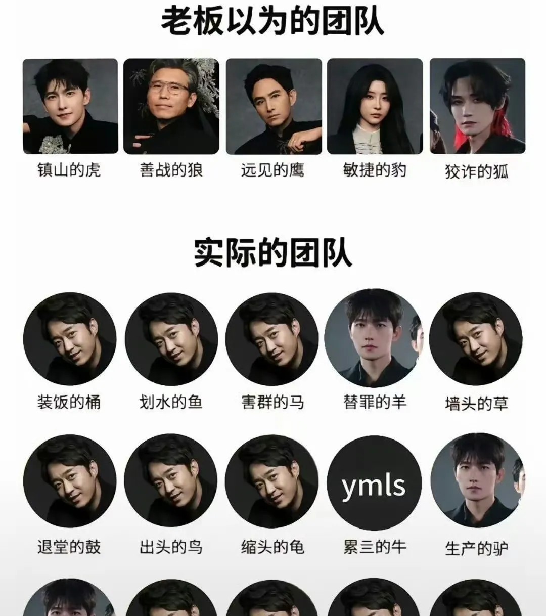 杨洋十年不跳槽，真相只有两个字：股份。他不仅是艺人，还是老板之一。