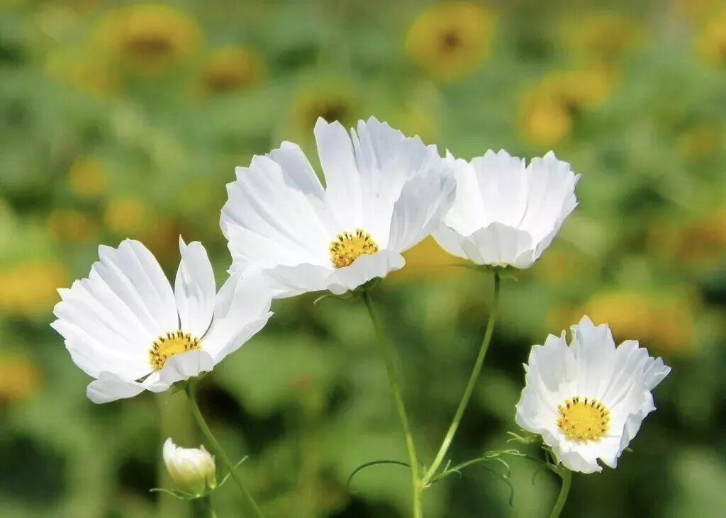 孩子大1岁都不一样。俺家孩子初一的时候认为老师不好。初二的时候，一个老师专门留同