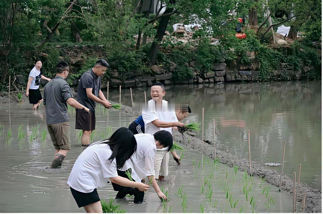同样是作秀，为什么马云插秧、黄仁勋吃面与雷军吃面收到的风评是两个极端？