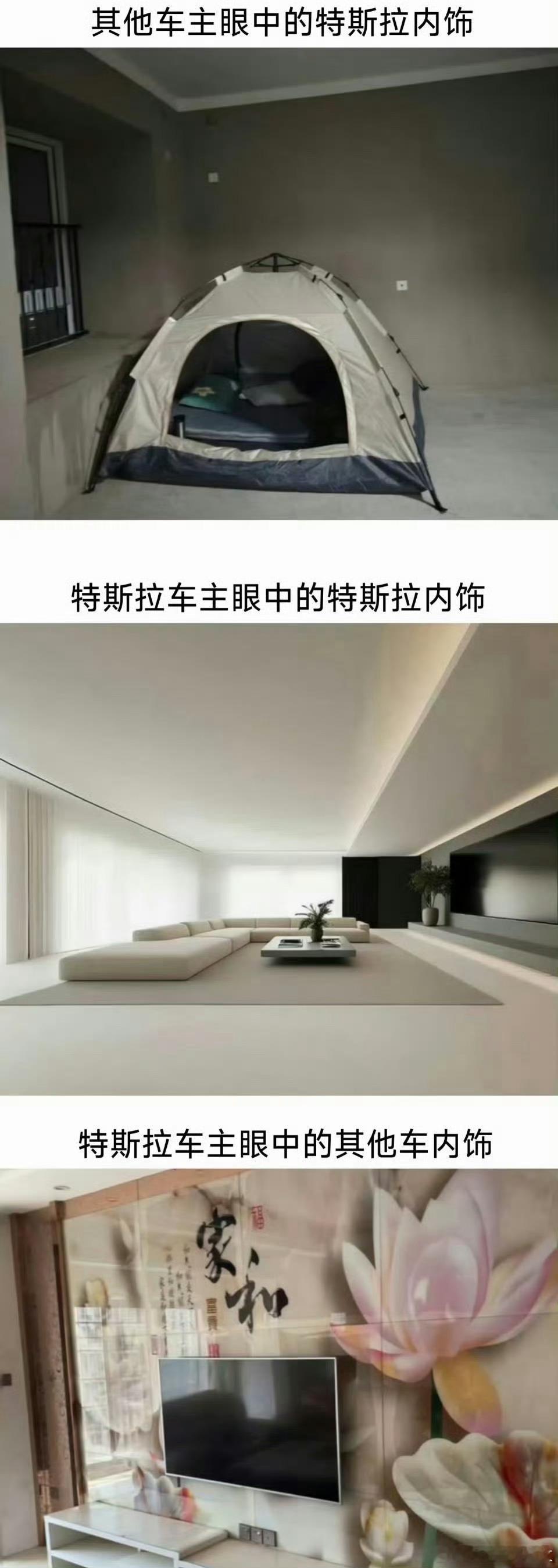 1和3拿捏🫴2你们身边的特斯拉车主是这样的吗？特斯拉