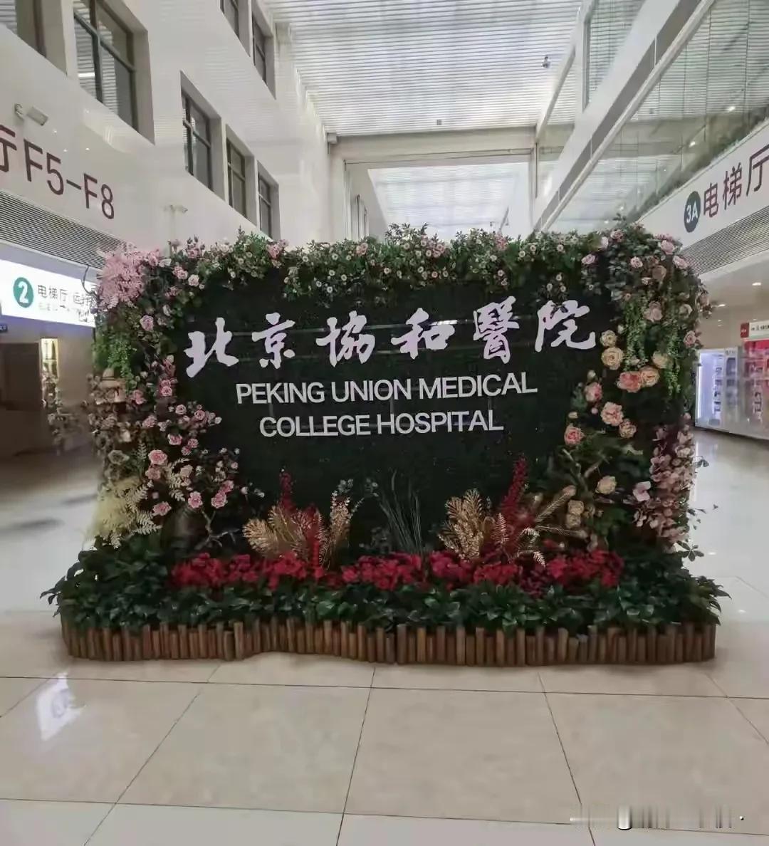 国家出手了——国家卫健委官宣调查肖某、董某以及有关机构。近日董四小姐以一己之
