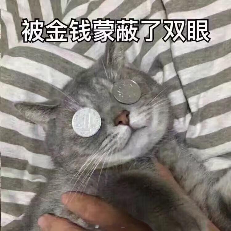 #网友质疑韦东奕为何编写小学教辅#韦东奕属于数学天赋型选手，其水平肯定足够。不过…面对普通人小学生，