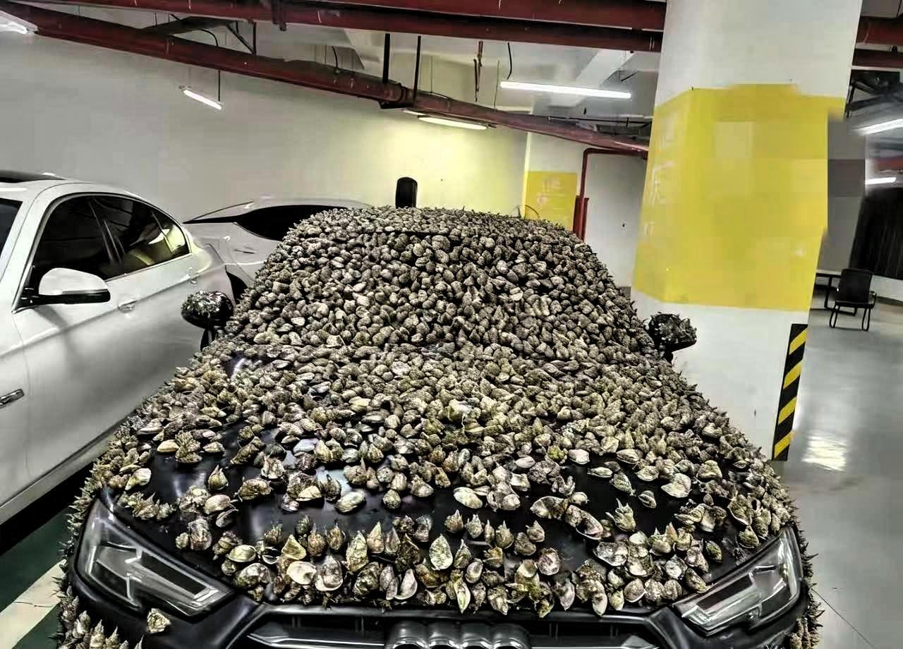 “一分钱不要，也得让你长记性！”业主车位被霸占10天，一怒之下做了这种事江