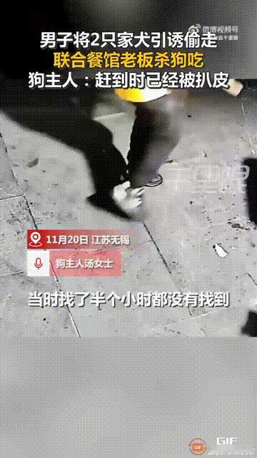 江苏无锡一名女子在店里养了两只小狗，因为小狗非常乖巧，从不会独自外出，所以女子也