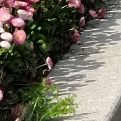 季节有温度，人心有冷暖。从鲜衣怒马到宠辱不惊，岁月终是不可返，都归于一粥一饭的平