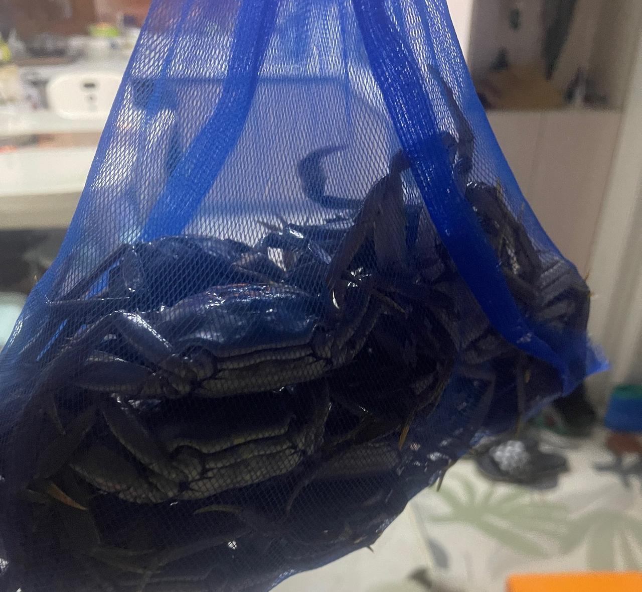 早上不到六点我还在床上躺着，突然听到有人敲门，因为我爱人去辽宁公婆家了，女儿一家