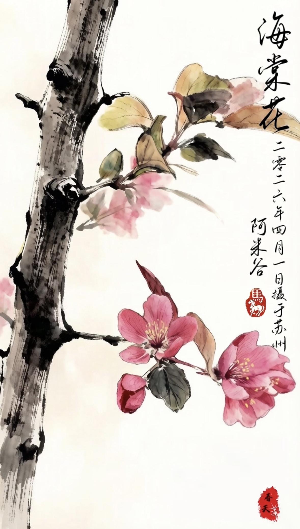 摄影作品“海棠花”