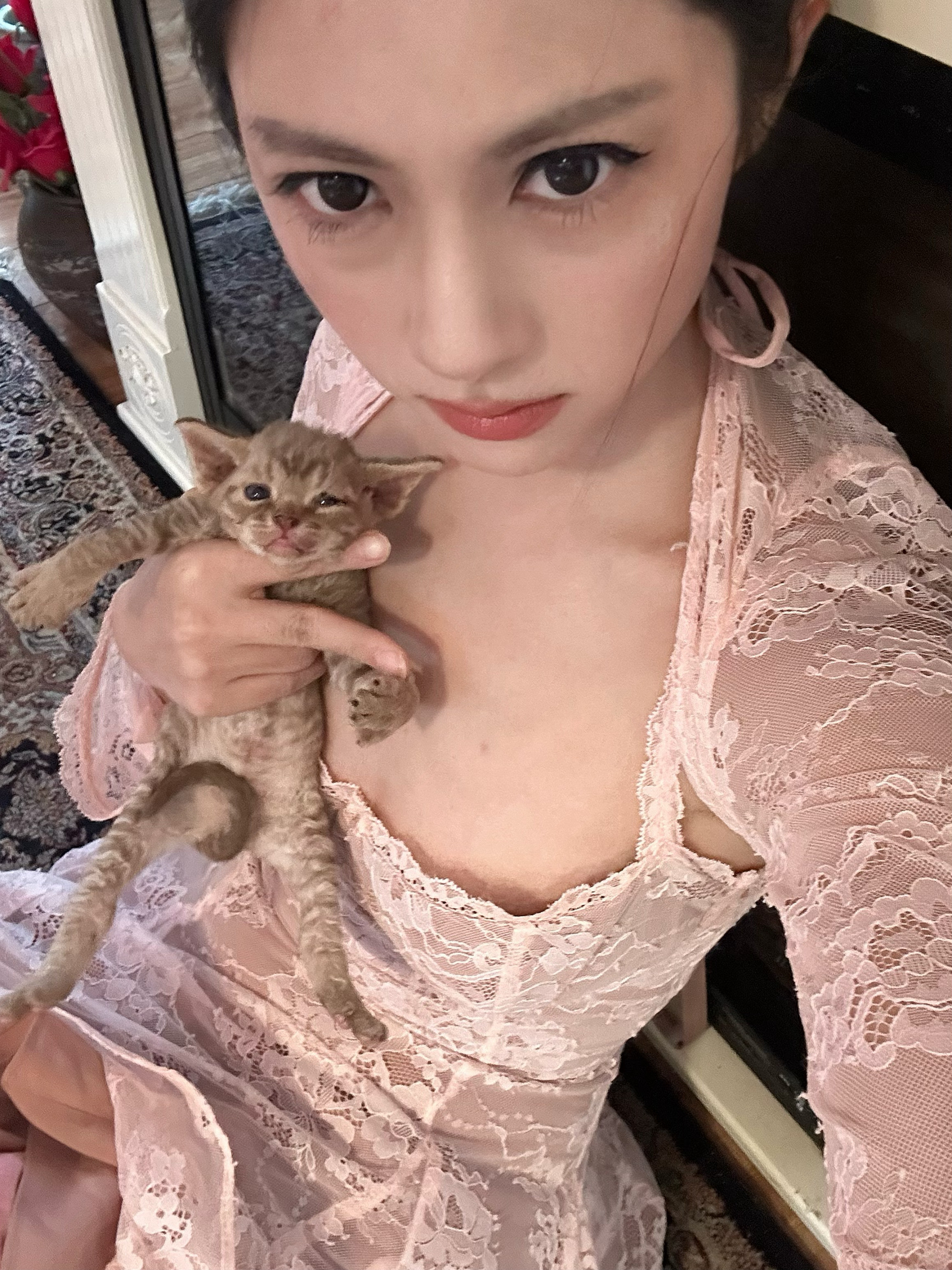 养过小猫就知道爱不需要新鲜感​​​