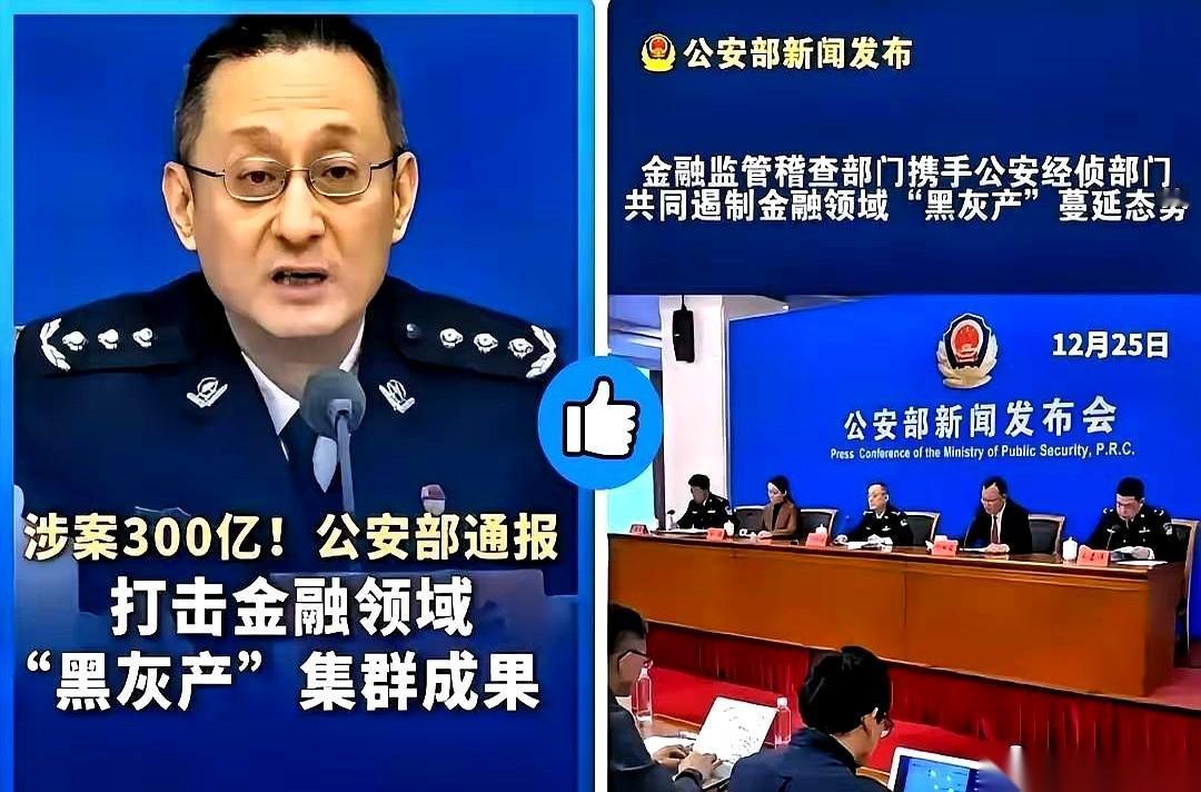 公安部这会一开，我算是彻底看明白了。 这次国家队下场，算是把这层窗户纸给捅破
