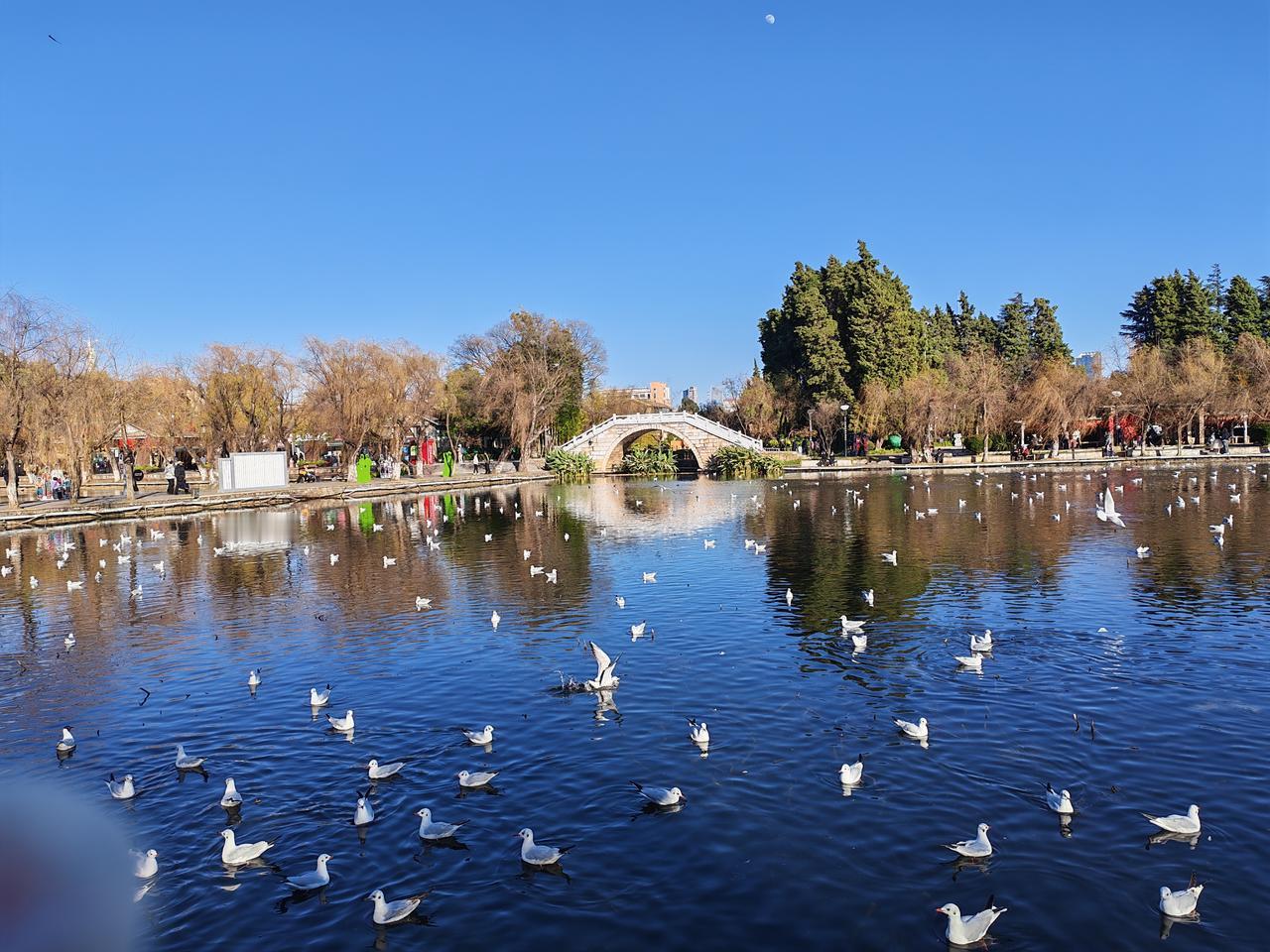 【昆明西收费站改造，谨防你的钱被“蹭”】从昆明到太平新城，过路费只是0.61元，