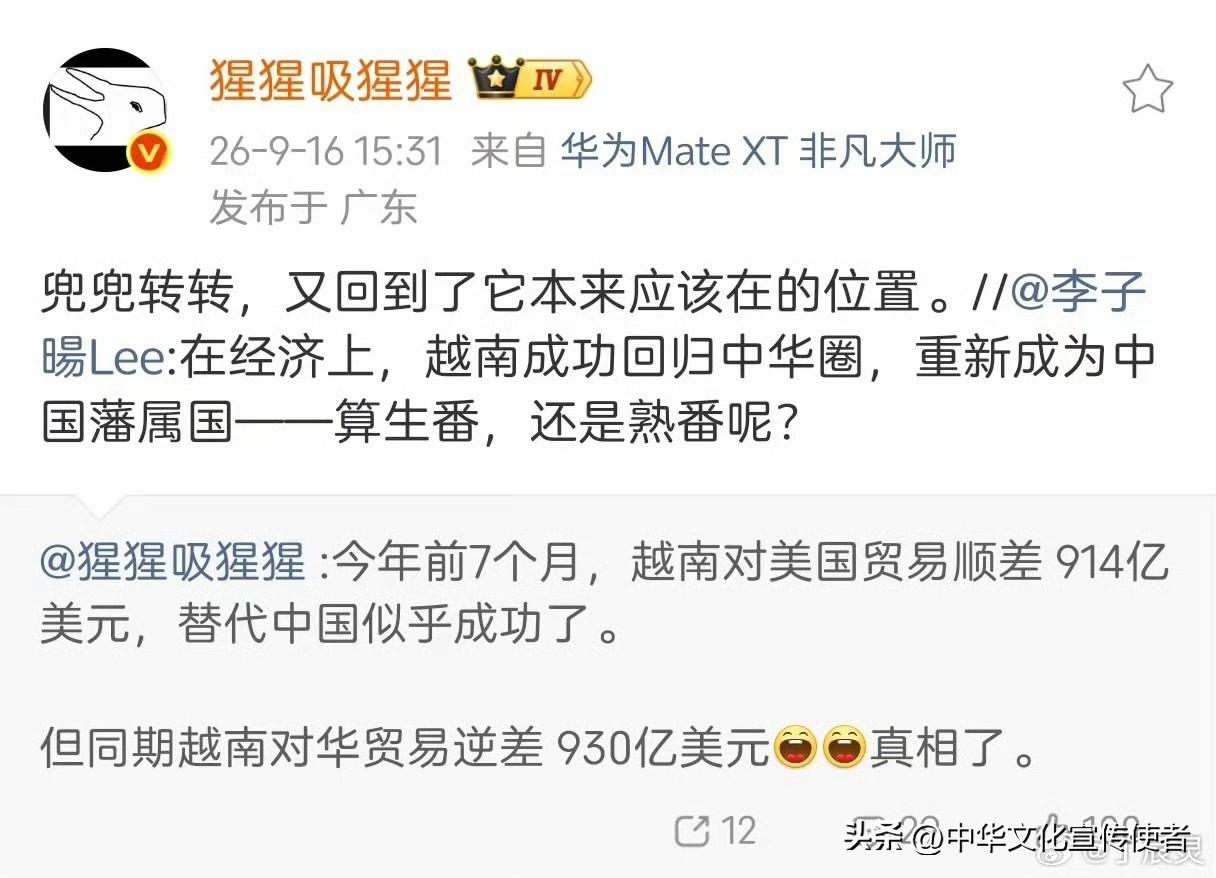 前几年，很多人叫嚷着越南超越中国了，现在看来只是虚账超越了，背地里依靠的还是老钟