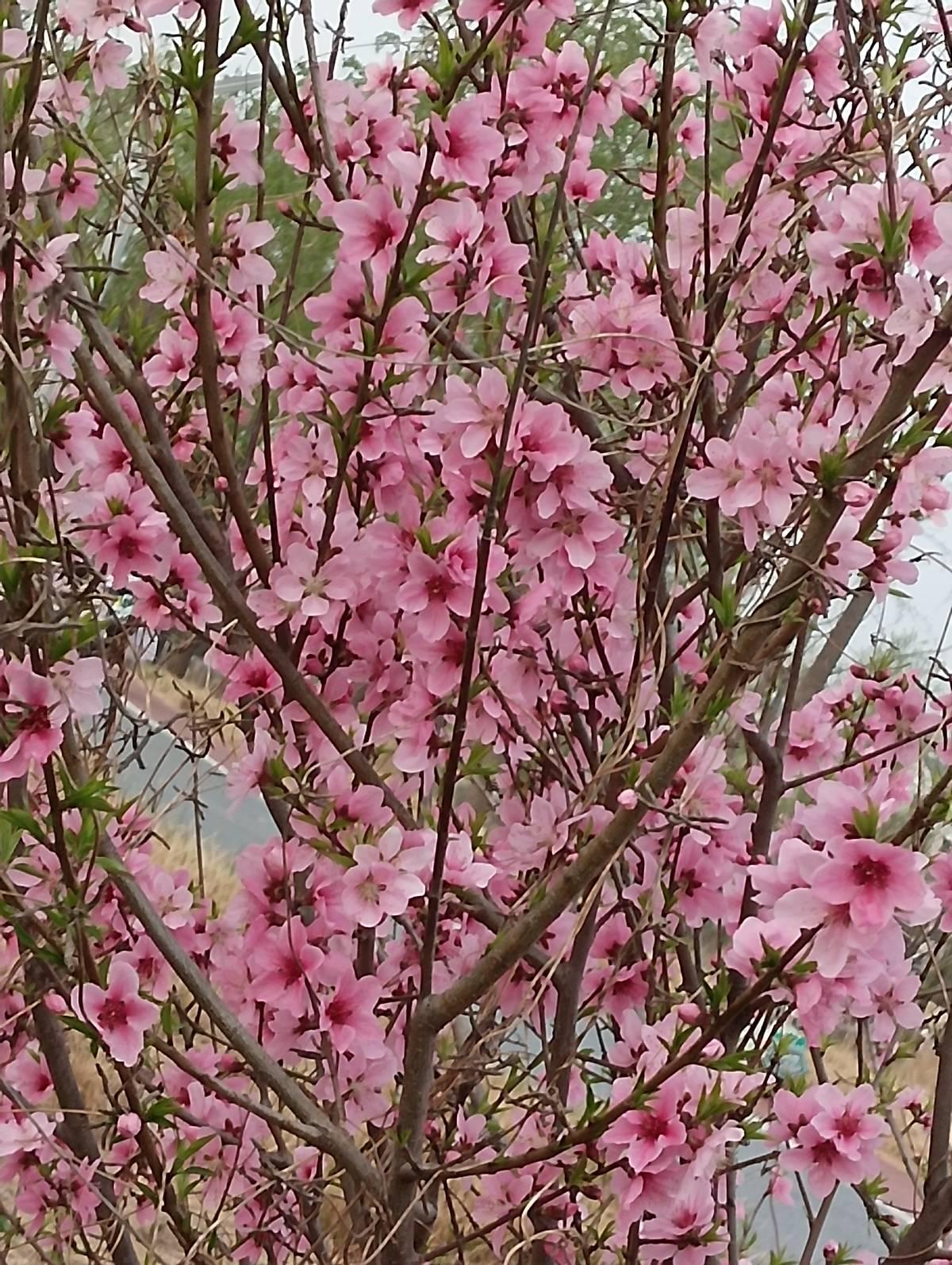 当同事还在加班，那位档案年龄被改大的老同事，已经领上了退休金。你吭哧吭哧干到五