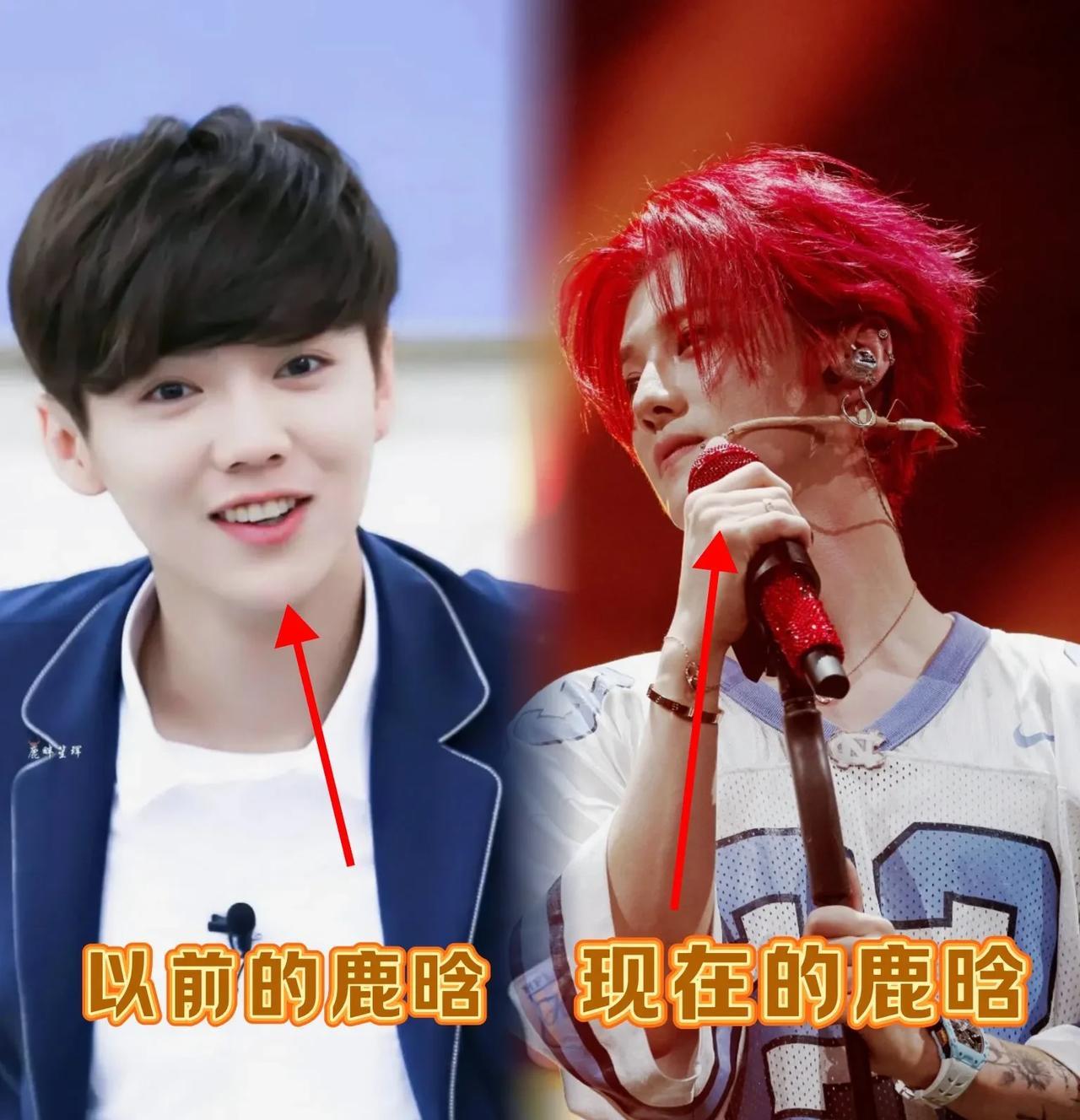 鹿晗终于醒悟了！不再是8年恋爱“疯子”！刚谈恋爱鹿晗，一谈恋爱就放下所有，满