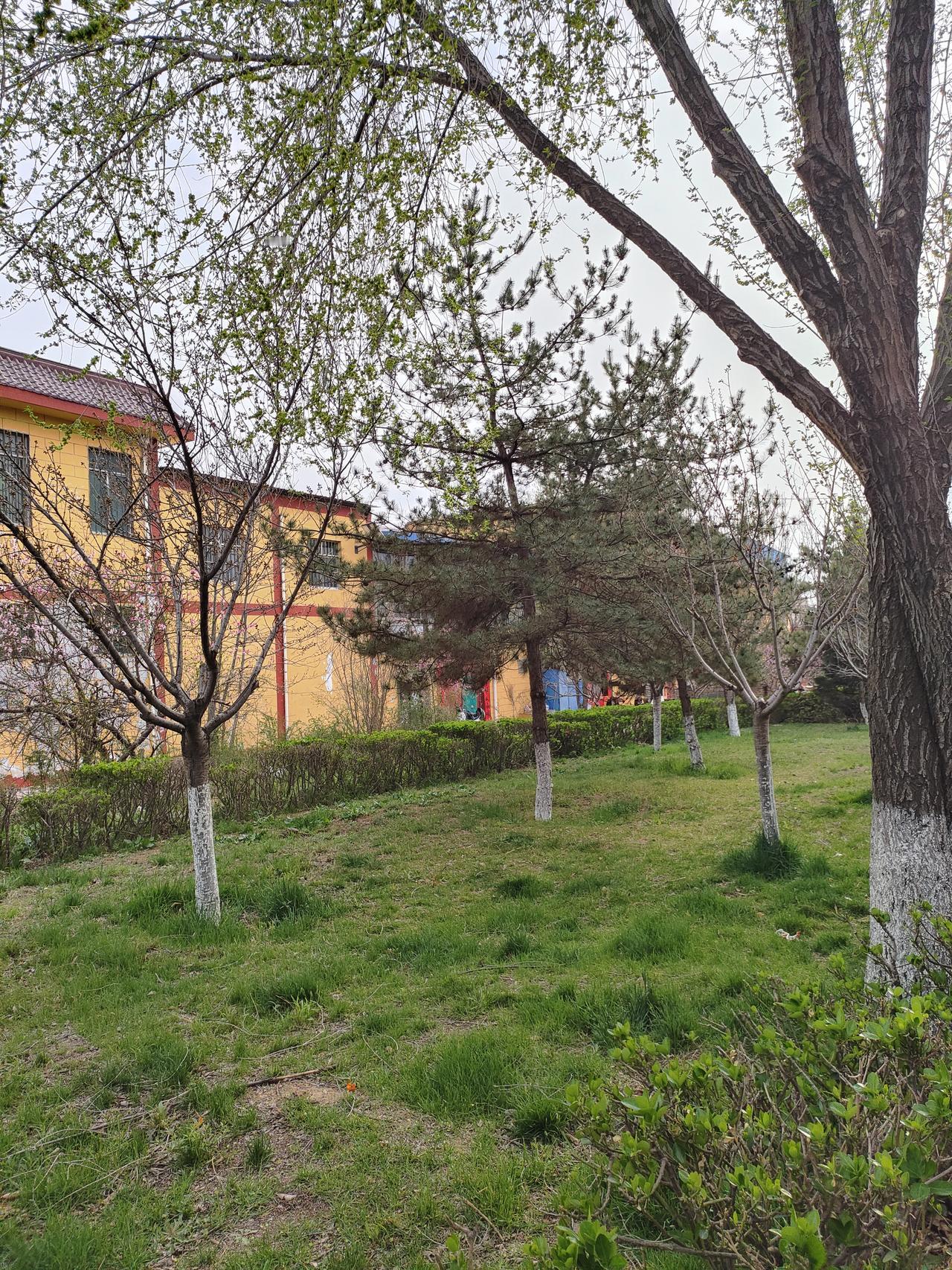 人活着，看淡放下，便是晴天人这一辈子，说长不长，说短不短，忙忙碌碌一辈子，