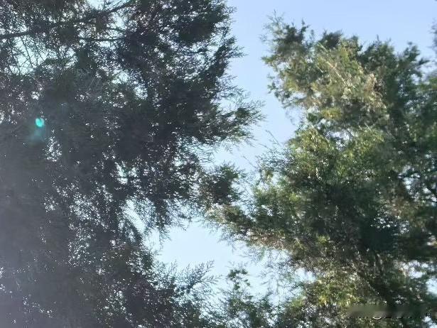 聪明的婆婆跟儿媳妇相处，牢记6个方针：1.边界划清方针。儿子结婚后，就是