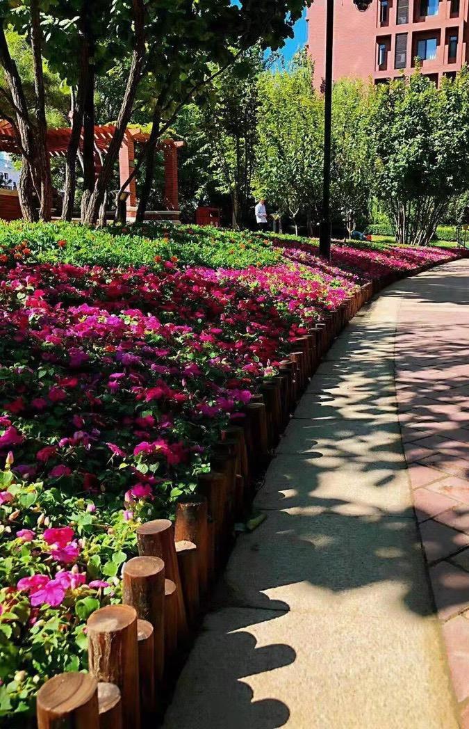 朋友要在北京买房，我只给出了两点意见！大家看看说的对不对？朋友要在北京买房，