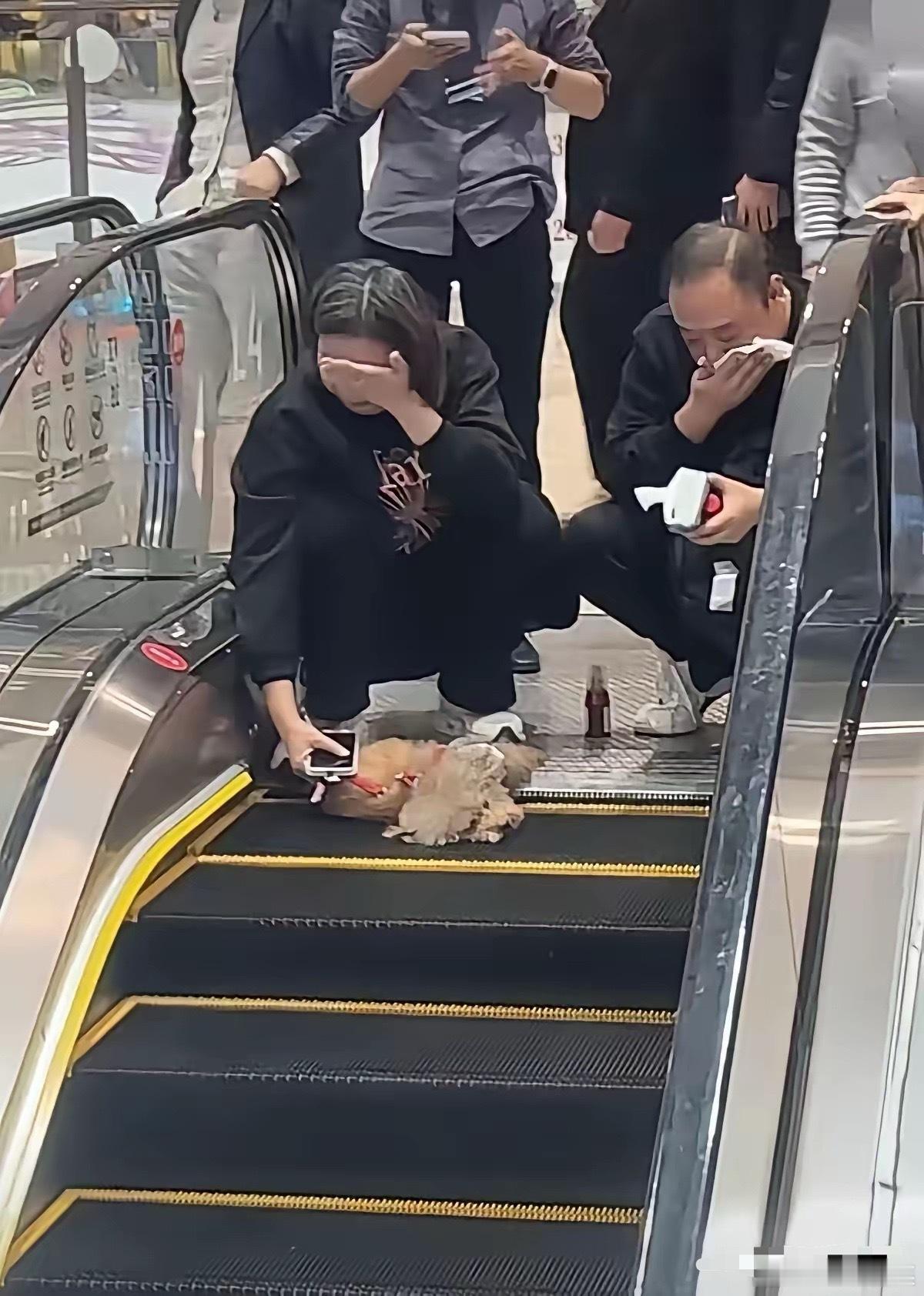 一对夫妻带狗进了商场，上自动扶梯时既没给狗拴绳，也没把小狗抱起来，就由着它跟在旁