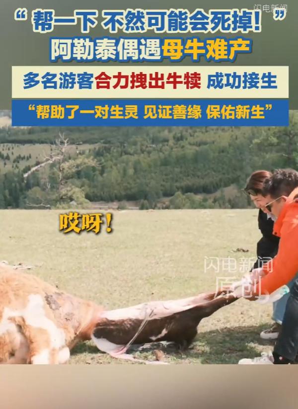 ”见证善缘保佑新生！“闪电新闻5月28日报道，5月25日，几名到新疆阿勒泰游玩的