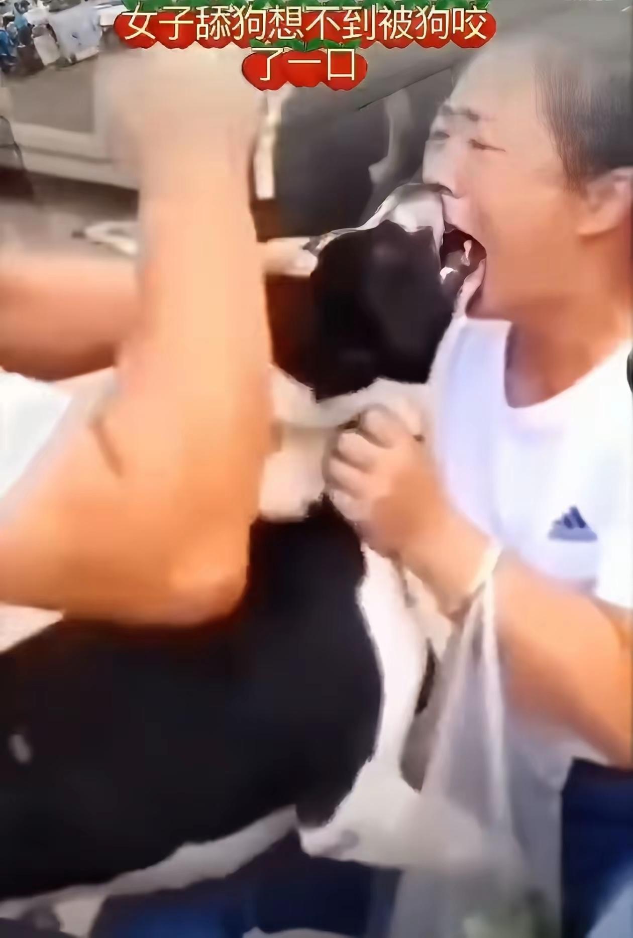 看到这个场面，你还敢养狗吗？都说狗是人类的好朋友，但是，它终归还是一只狗而已，