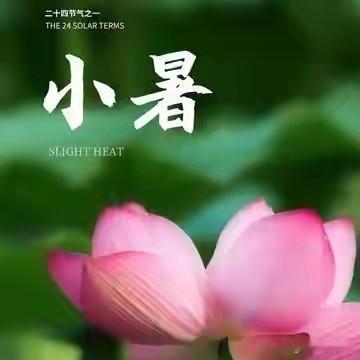 小暑五不做，一年无灾祸！7月7日小暑，5件禁忌别碰，安稳过三伏7月7日小暑