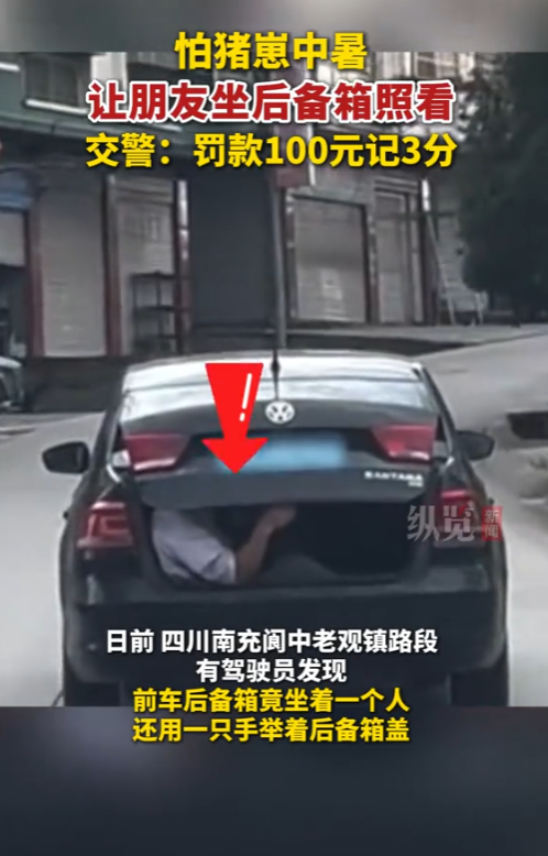 真够离谱的！”2025年7月，四川，一男子买了一个猪崽子，放在了后备箱，然而，当