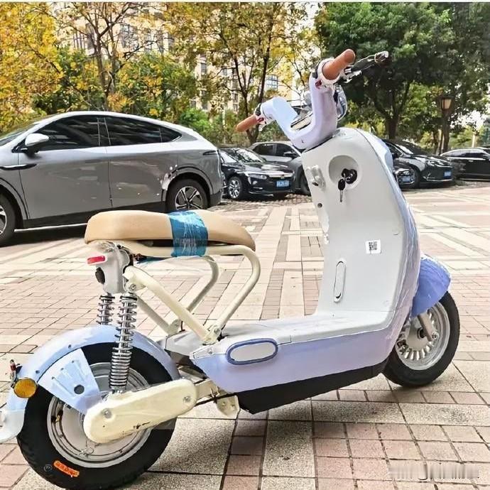 雅迪这波道歉，听着像甩锅啊？雅迪那新车“毛豆”，最近可被大伙儿吐槽惨了！不能带孩