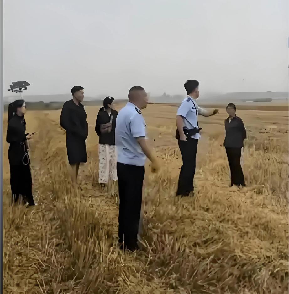 襄阳那场麦收风波，闹到最后，结局比过程更带劲。闹到最后，大妈托人给河南那对小