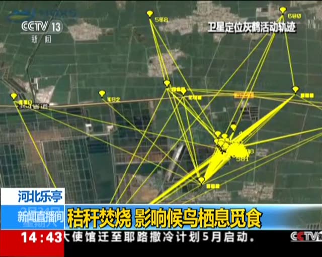 碧什么丹心成语_丹心向阳是指什么花(2)
