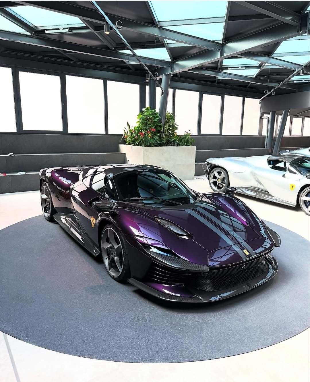 FerrariDaytonaSP3油漆：ViolaHongKong​