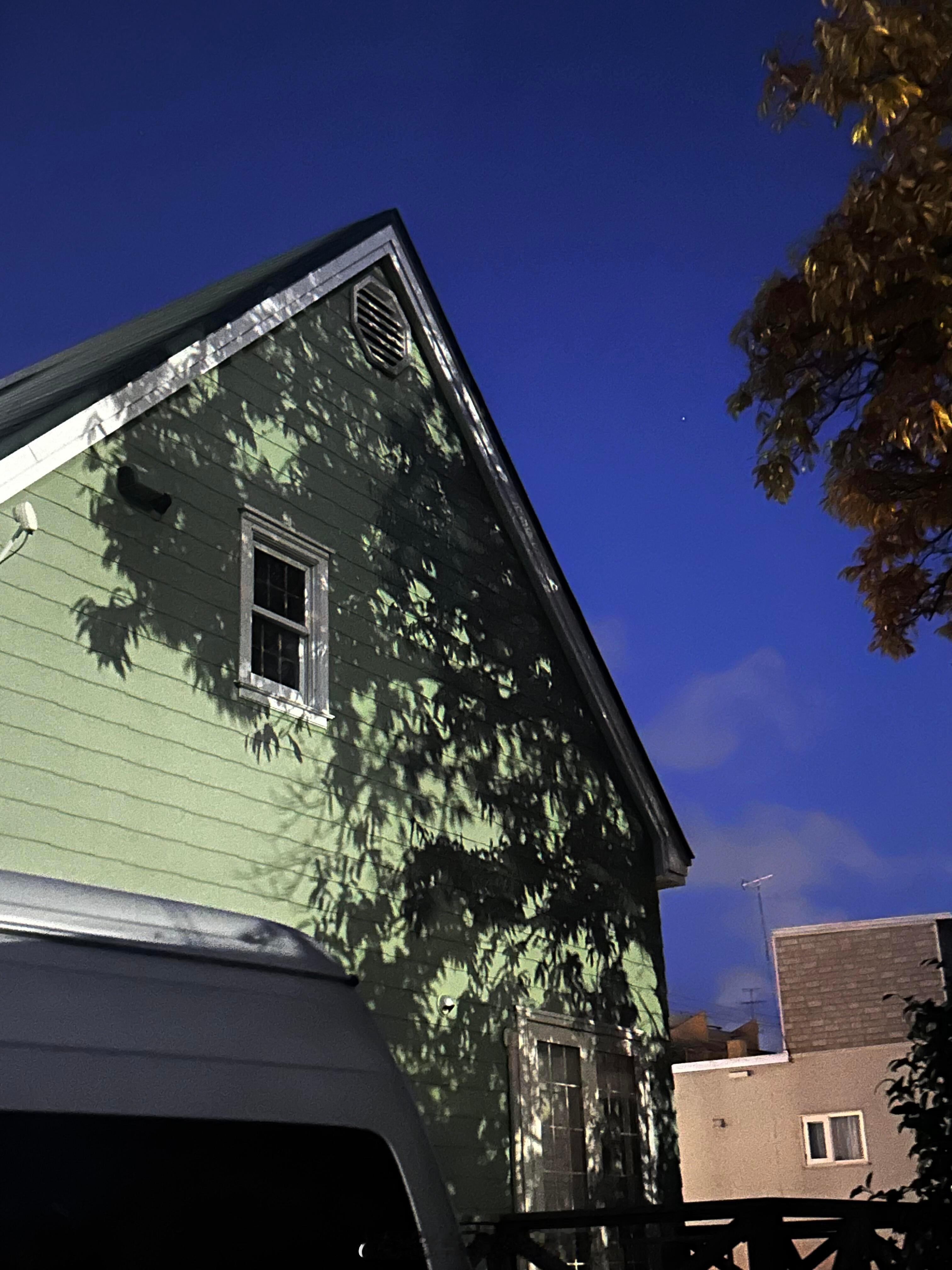 清冷感美人儿这块，陈昊宇甜菜。