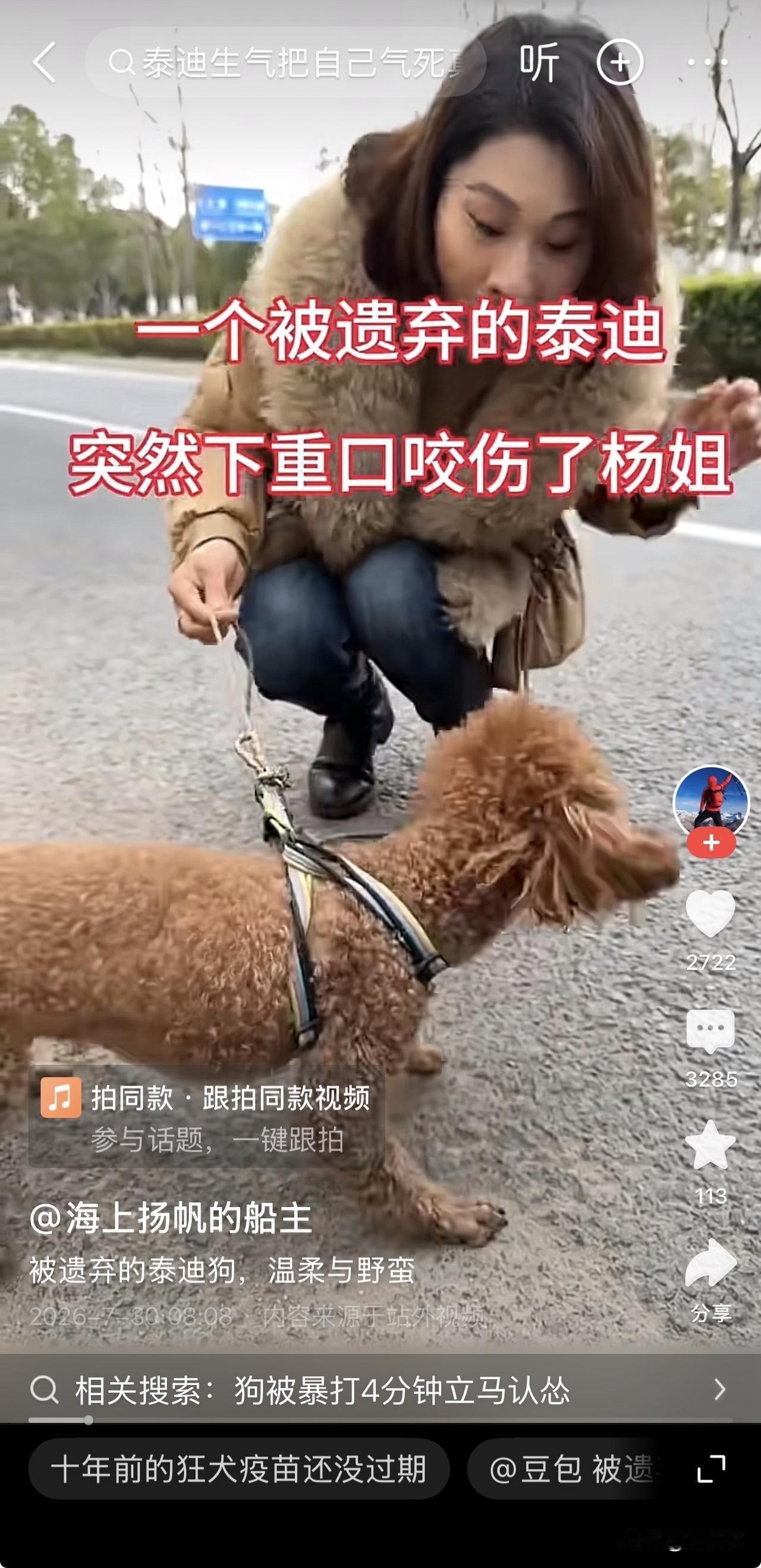 马路牙子上，一只被抛弃的泰迪红着眼，一口死死咬住了杨姐的手腕，鲜血直流。可画面里