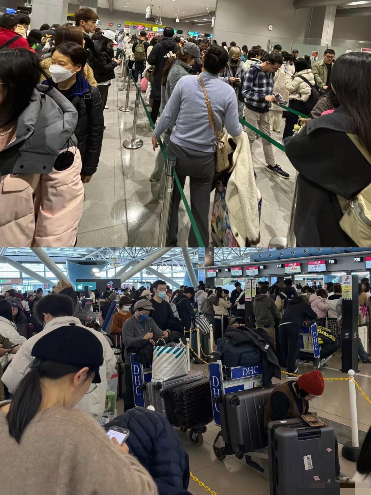 当初执意要去日本的后果，现在终于显现出来了！想回来根本就是难上加难，日本关