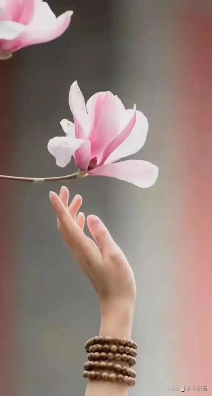 复旦大学王德峰教授说：“我的儿子，从小念最好的幼儿园，最好的小学，最好的中学，