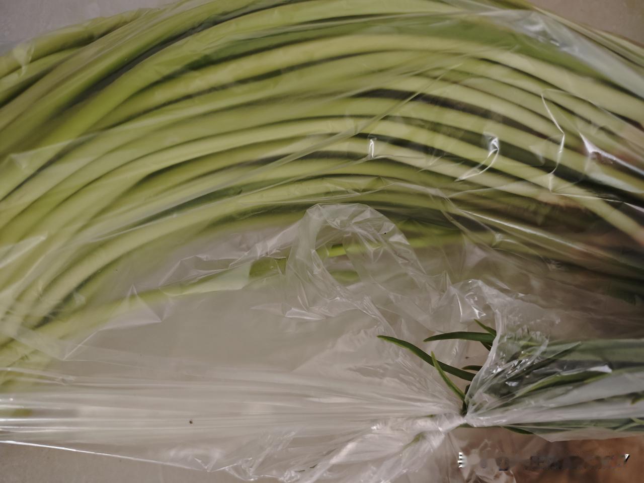 51去哪里？晒晒我们这里的菜价，就知道我们要回老家了。今天上午出去办了两件大