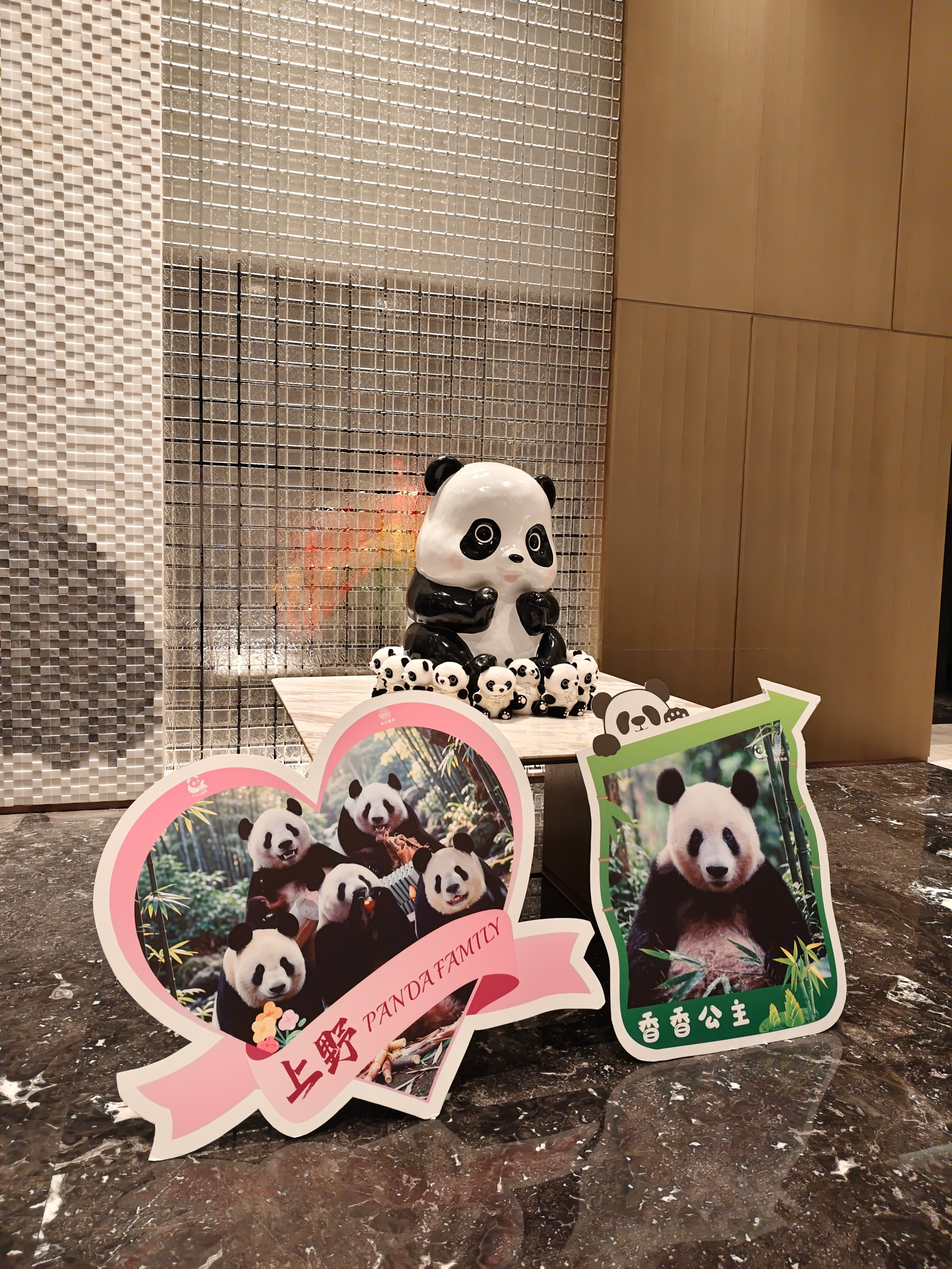 闪现四川！明天去川西看雪山🏔️过几天再回来看熊猫🐼第一次来川西，应该不会高