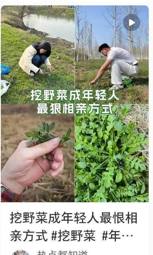 女孩相亲时被男方约去郊外挖野菜，本以为是浪漫田园约会，结果全程自己动手，男方只站