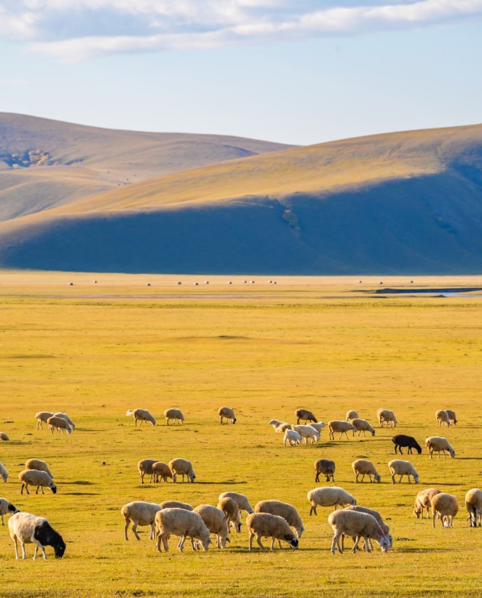 好好拍照的一年年度摄影定格：阿尔山，镜头里的童话秘境📸在摄影的年度答卷里，内蒙