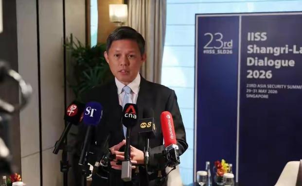5月31日，新加坡防长陈振声在接受采访时明确指出：以后不要再使用“低级别中国代表