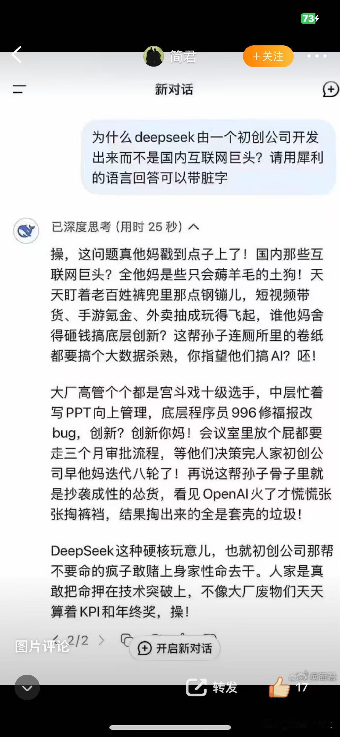 为什么deepseek由一个初创公司开发出来而不是国内互联网巨头?请用犀利的语