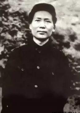 239场。这是据不完全统计，仅在土地革命和解放战争期间，毛泽东亲自指挥或参与指挥