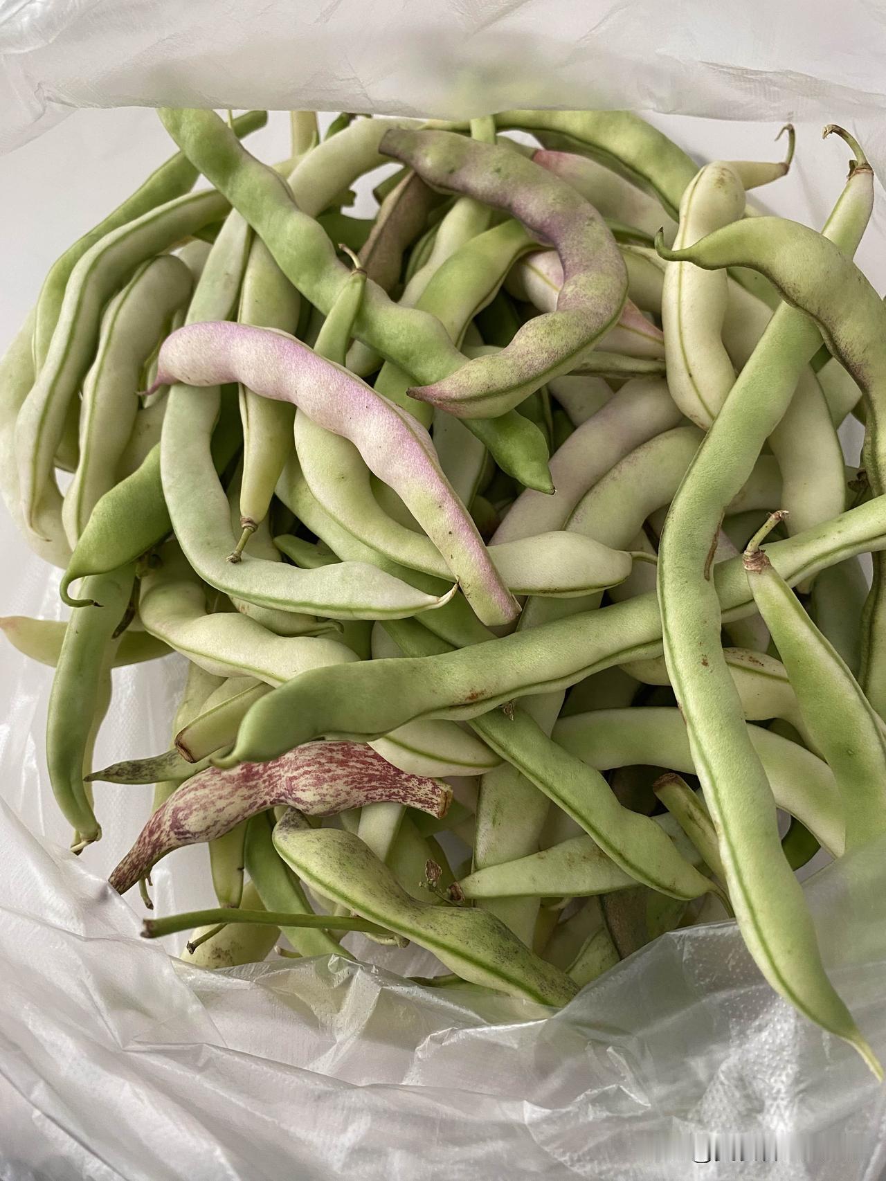 看看沈阳市场现在的蔬菜价格。豆角：3元辣椒：3元丝瓜：2元白菜：2元