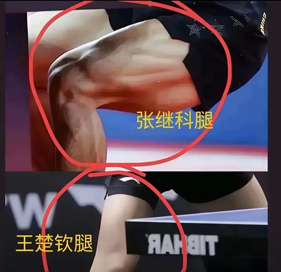 张继科直播强调：打球需要腿部力量，有人嘲讽王楚钦腿部细皮嫩肉，难出成绩！腿部肌
