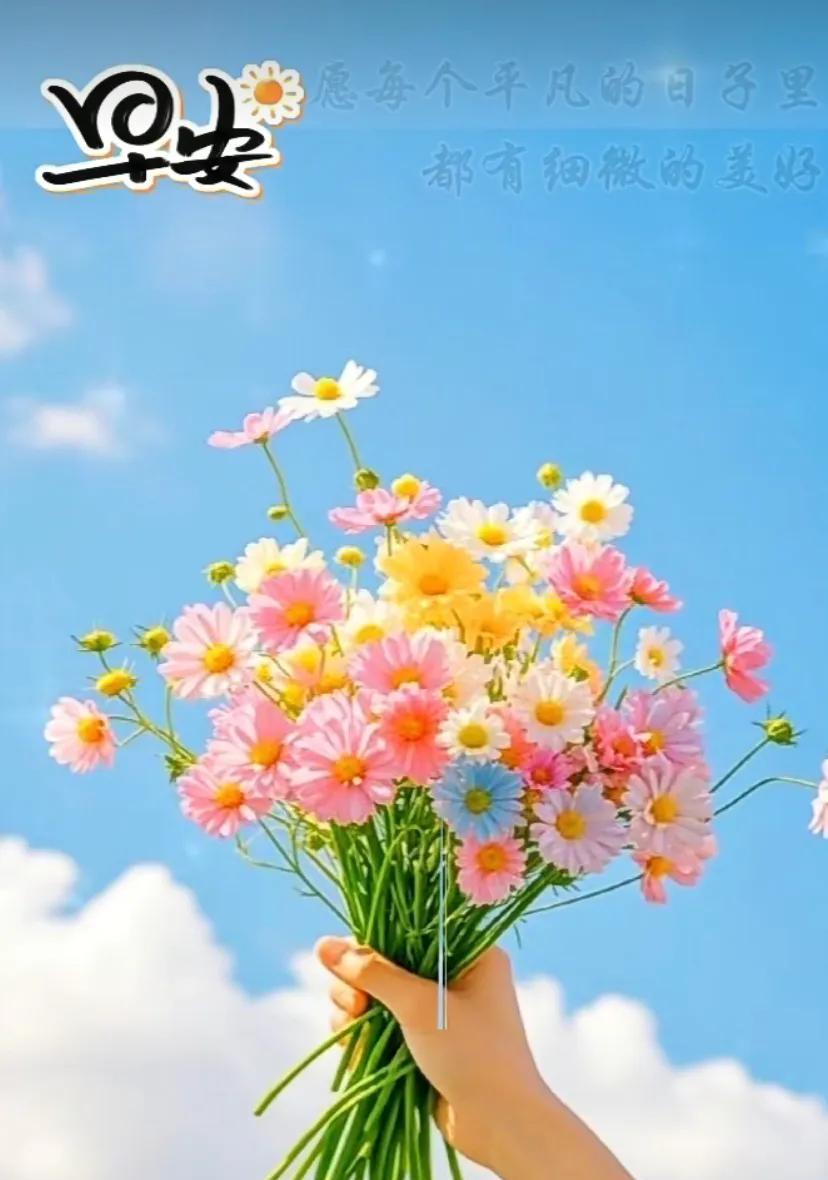 #早晨一句祝福#周六快乐！