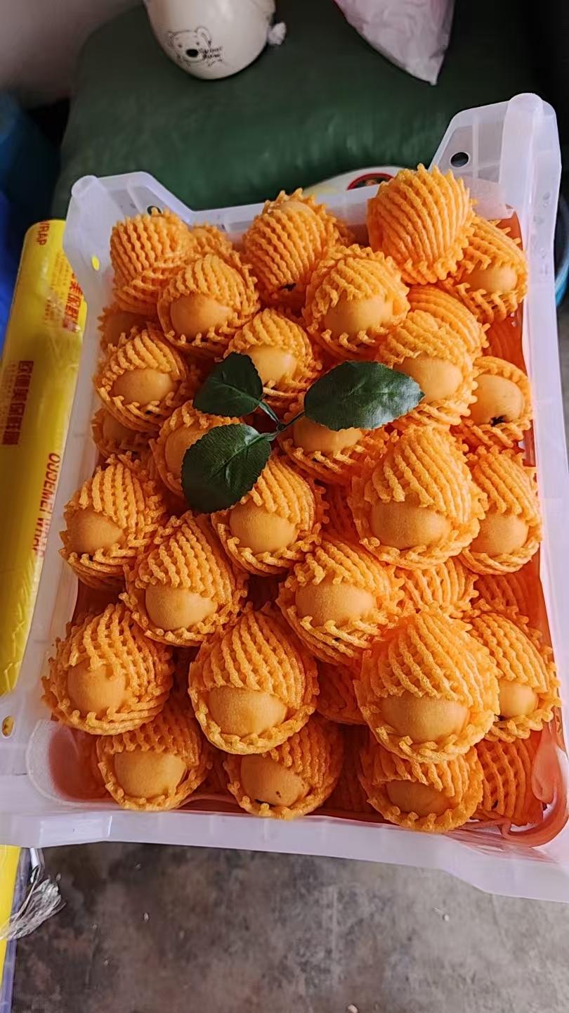 今天2月27日（周五），值得重点关注五大方向：1.AI算力硬件P