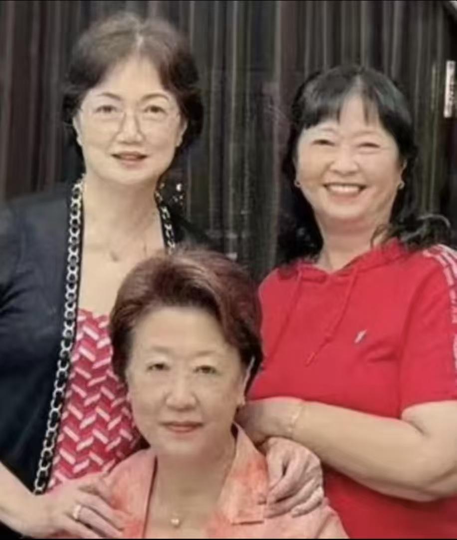 从庞家可以看出，有钱人是不会绝后的。即使生的全是女儿，也可以招上门女婿延续香火。