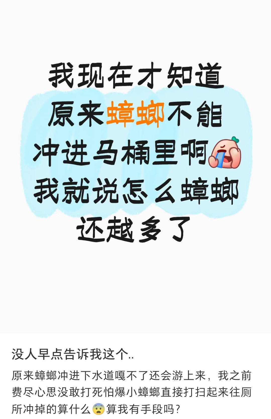 把蟑螂冲进马桶，等于是送它上了回家的高铁