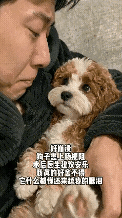 男子养了七八年的狗狗得了肠梗阻，送到宠物医院后，医生虽然给狗狗做了手术，但却告诉