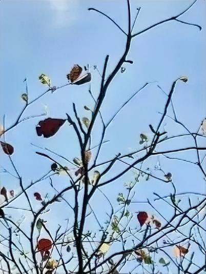 抑郁症，这么吓人啊！隔壁村死了个中年妇女，五十多岁，儿女俱已成家，本应该是享受